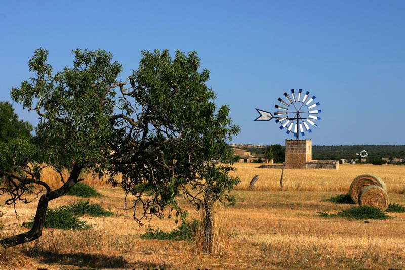 Campos Windraeder u Ernte