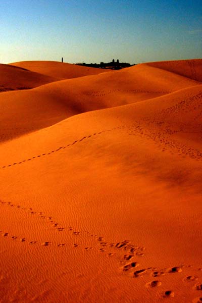 Duenen Maspalomas Gran Canaria