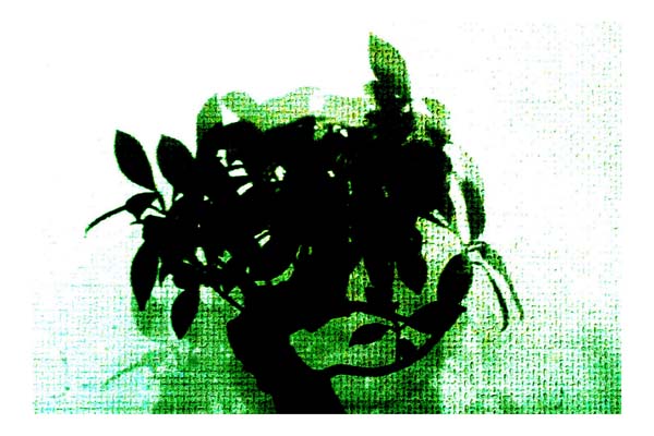 Lenas Kunstbild Bonsai