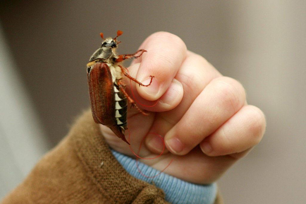 WIM BALLER und Maikaefer