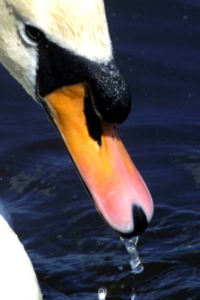Selten so schoenes Wochenendwetter in Hamburg